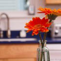 Simple Kitchen
