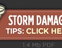 Storm Damage Tips